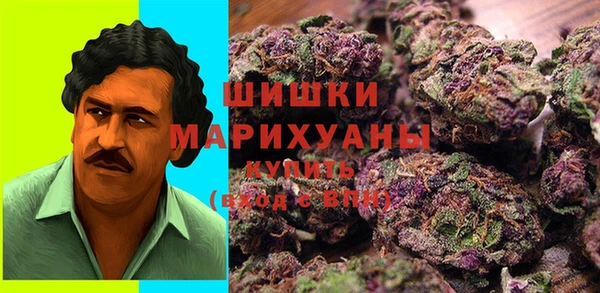 гидра Аркадак
