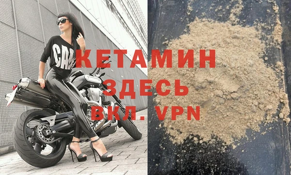 гидра Аркадак