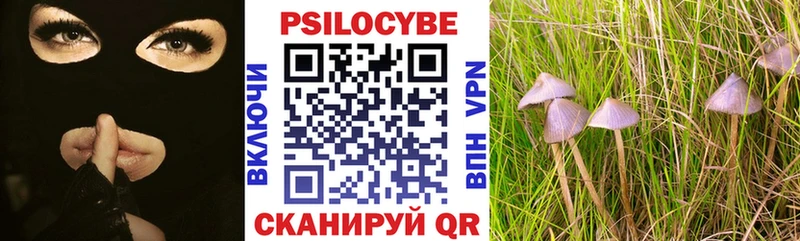 закладки  Ясный  darknet Telegram  Галлюциногенные грибы прущие грибы 